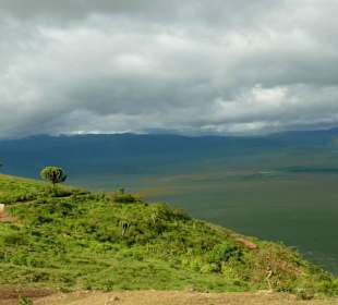 Aussicht vom Kraterrand