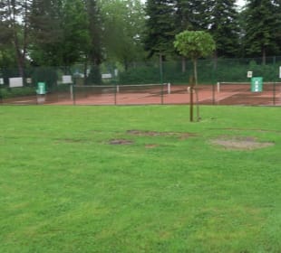 Wanderung rund um den Stadtsee