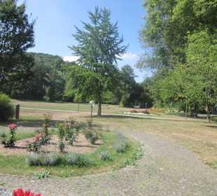 Kurpark Bad Bergzabern