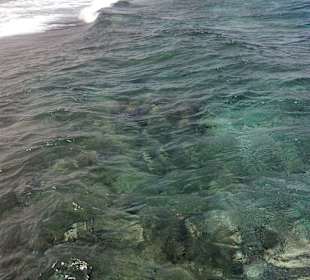 Schnorcheln Makadi Bay