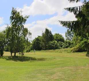 Fairways