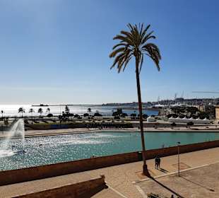 Hafen Palma de Mallorca
