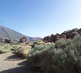 Der Teide