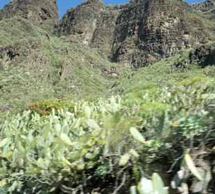 Mirador de Baracan in Buenavista del Norte
