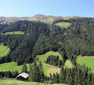 Wandern Reith im Alpbachtal