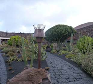 Weg durch den Garten