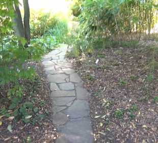 Botanischer Garten