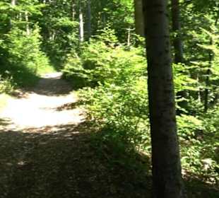 Ruine Hohenmelchingen