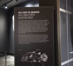 Dinosaurier Museum Altmühltal