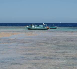 Zatoka Abu Dabbab - rafa przy odpływie