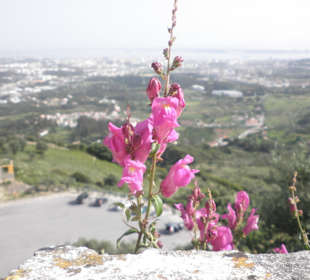 Arrábida Berge