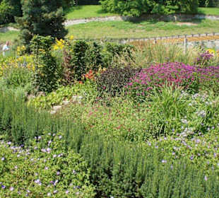 Mijamy zielone roślinki
