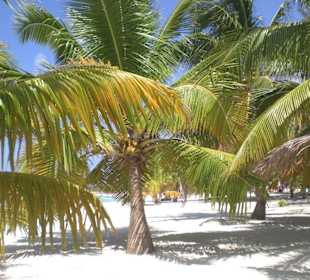 Strandaufenthalt in Saona