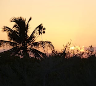 Strand Playa del Carmen
