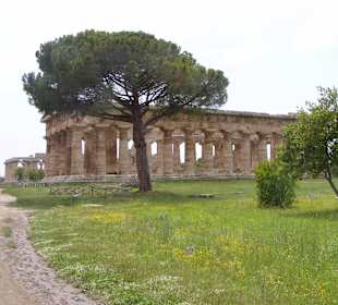Paestum: griechischer Tempel