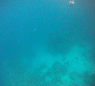 Schlechte Sicht ab Mittag