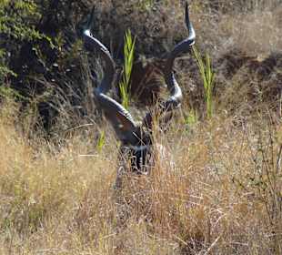 Direkt bei der Logde