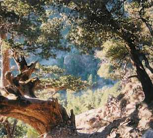 Beeindruckende Natur