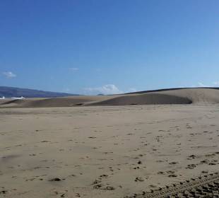 Bei den Dünen am Meer
