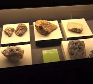 Jura-Museum