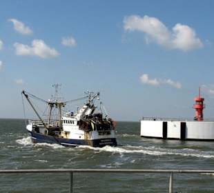 Fischer fährt aus dem Hafen