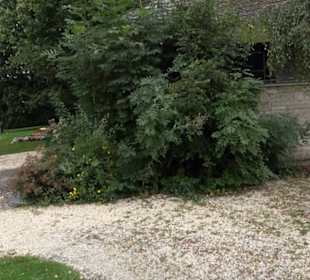 Friedhof Hengen