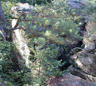 Kleine Luxemburger Schweiz bei Echternach
