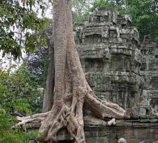 Ta Prohm Tempel