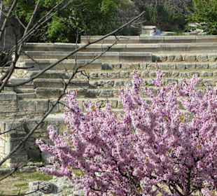 Ausflug Krim Chersones