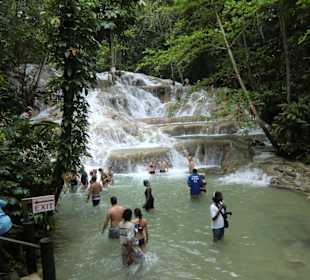 Am Anfang der Fälle