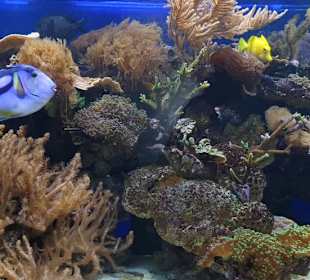 Allwetterzoo Münster