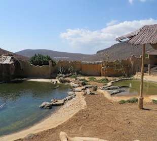 Cocodrillo Park