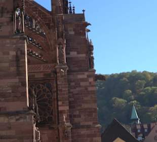 Freiburger Münster