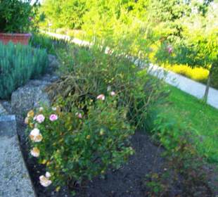 Toll angelegt Ort Gstadt