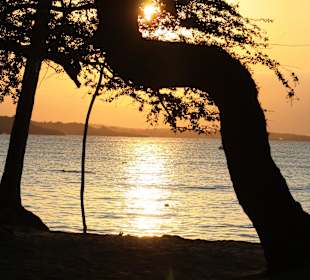 Ausblick vom Strand