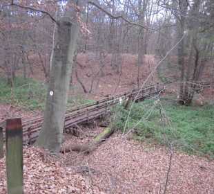 An der Lochmühle Lingenfeld