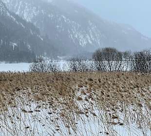 Haldensee