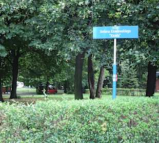 Skwer Kisielewskiego