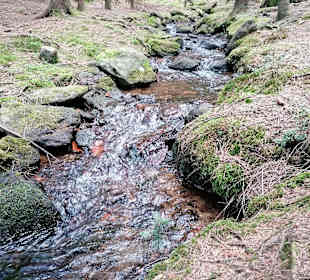 Wandern Hohenwarth