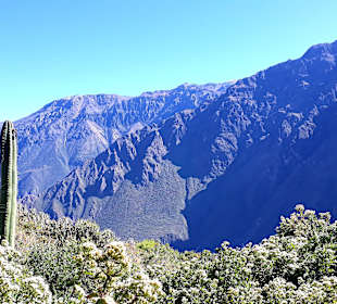 Colca-Canyon