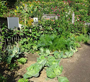 Im Südtiroler Bauerngarten von Trauttmansdorff