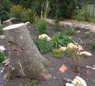 Blühendes Neresheim