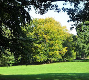Rundgang durch den Park Forstbaumschule