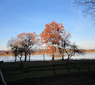 Soier See im Herbst