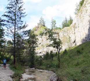 Homole Schlucht/ Jaworki- Ausflug aus Szczawnica 