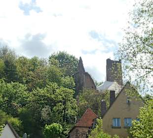 Die Burgruine Scherenburg oberhalb der Altstadt