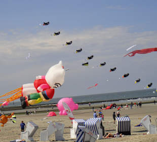 Drachenfest am Strand . Blick vom Riffkieker