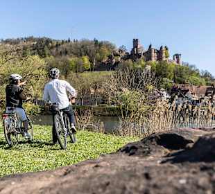 Stadtrundgang Kreuzwertheim