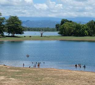 Nationalpark Udawalawe
