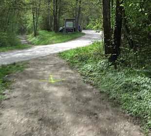 Walderlebnisweg Rottenburg